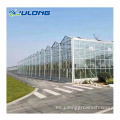 Agricultura Venlo Multi Span Hydroponic Glass Green House